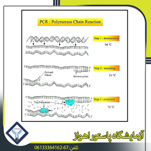 امراض البکتریایه